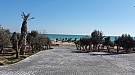 20170225_142635.jpg