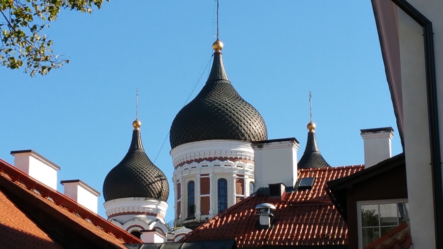 20170814_165223.jpg