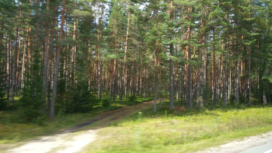 20170815_094659.jpg