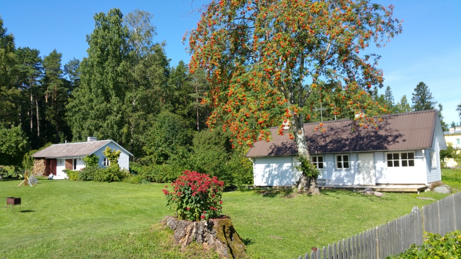 20170815_113607.jpg