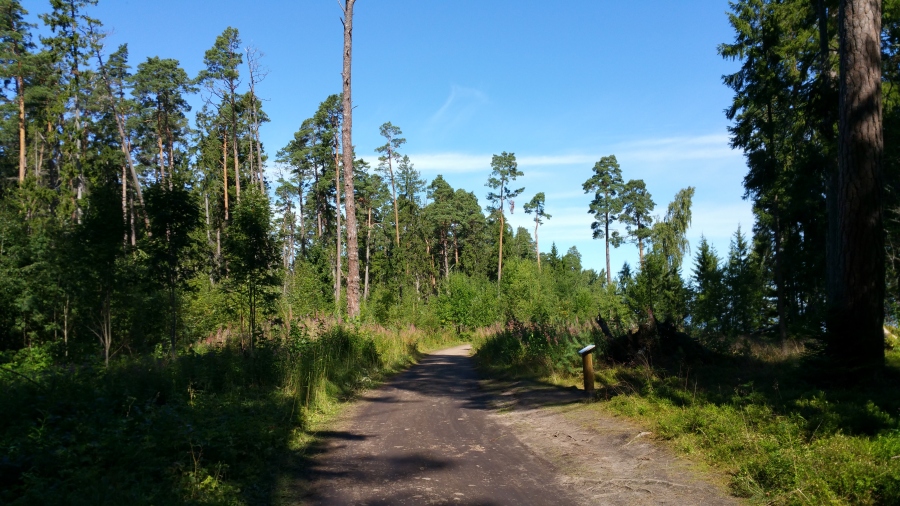 20170815_120313.jpg