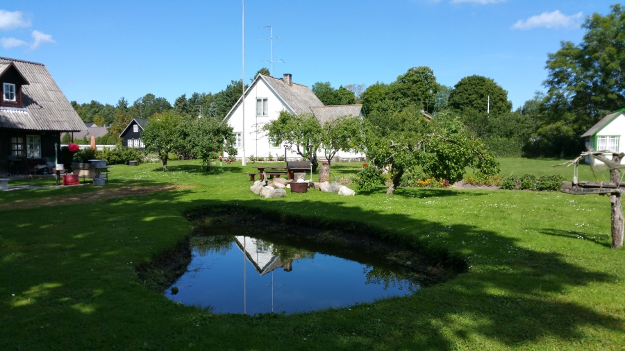 20170815_131558.jpg