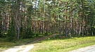 20170815_094659.jpg