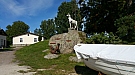 20170815_104623.jpg