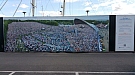 20170815_161500.jpg