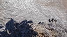 DSC00611.jpg
