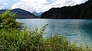 DSC00775.jpg