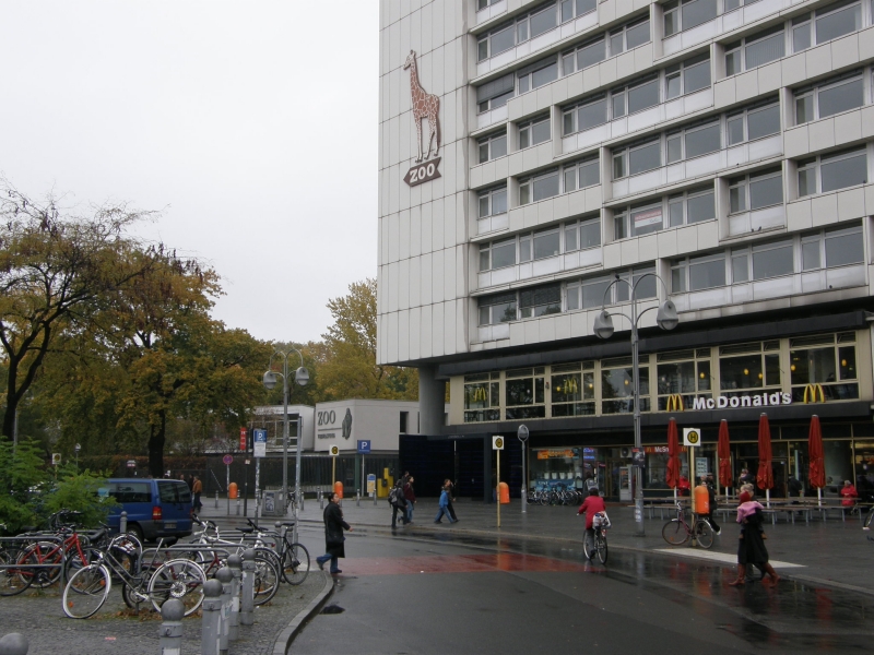 PA250123.jpg