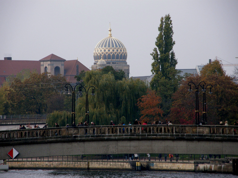 PA250198.jpg