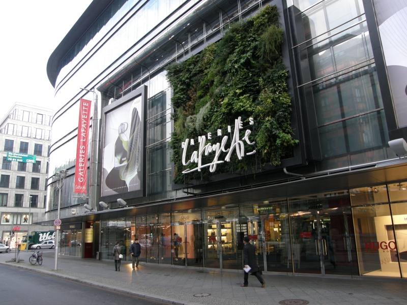 PA260289.jpg