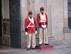 Nationale Garde