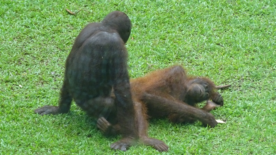 DSC08126.jpg
