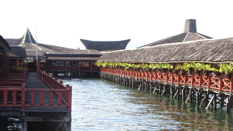 DSC08568.jpg