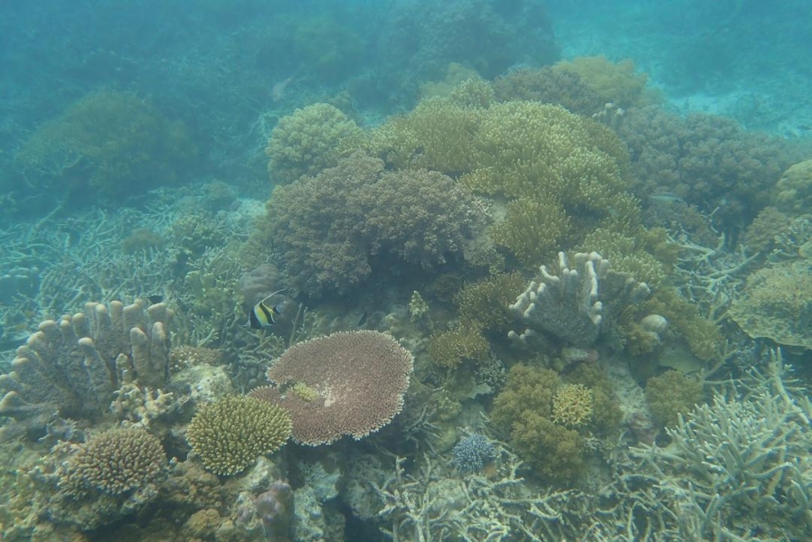 DSC08765.jpg