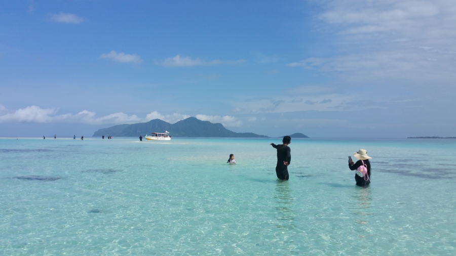 DSC08784.jpg
