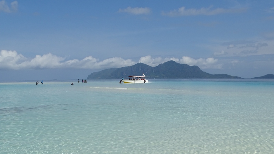 DSC08792.jpg