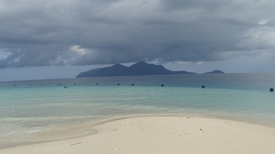 DSC08843.jpg