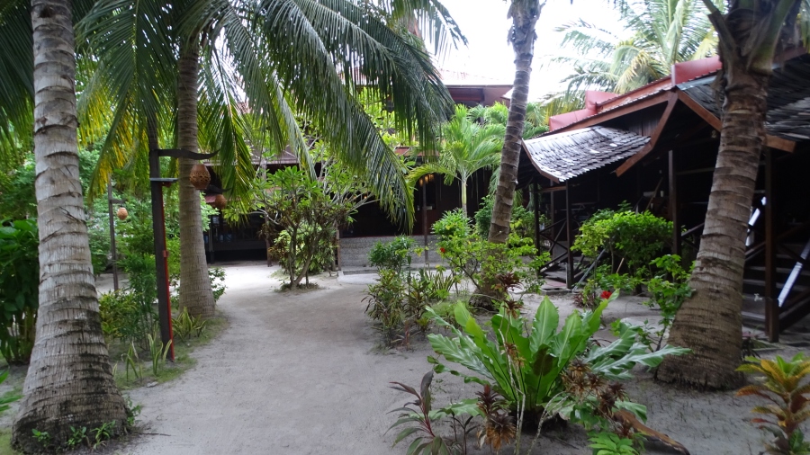 DSC09014.jpg
