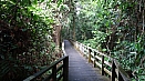 DSC08096.jpg