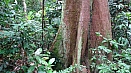 DSC08102.jpg