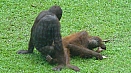 DSC08126.jpg