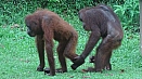 DSC08145.jpg