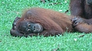 DSC08147.jpg