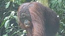 DSC08213.jpg