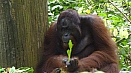 DSC08237.jpg