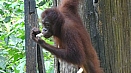 DSC08271.jpg