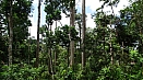 DSC08336.jpg