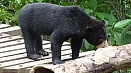 DSC08356.jpg