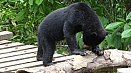 DSC08357.jpg