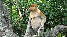 DSC08376.jpg