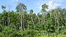 DSC08442.jpg