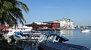 DSC08563.jpg