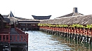 DSC08568.jpg