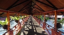 DSC08574.jpg