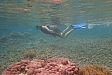DSC08761.jpg