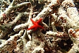 DSC08763.jpg