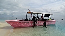 DSC08846.jpg