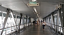 DSC09177.jpg