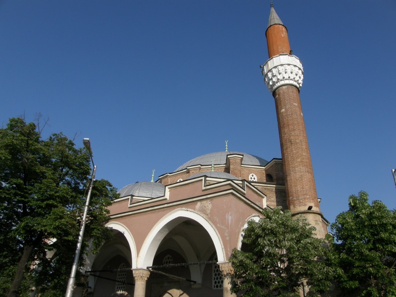 P5200071.jpg