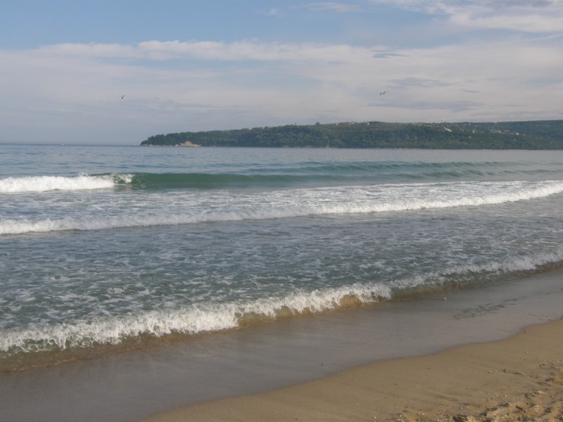 P5230493.jpg