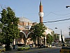 P5200092.JPG