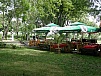 P5220265.JPG