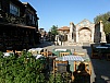 P5220333.JPG