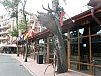 P5230463.JPG