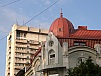 P5230516.JPG