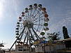 P5240551.JPG